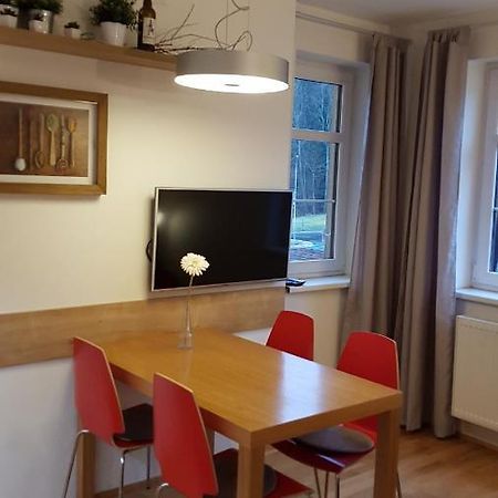 Rokytka Apartman 217 โรกีนีซ นัด ยีเซอโร ภายนอก รูปภาพ