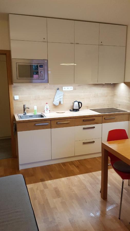 Rokytka Apartman 217 โรกีนีซ นัด ยีเซอโร ภายนอก รูปภาพ