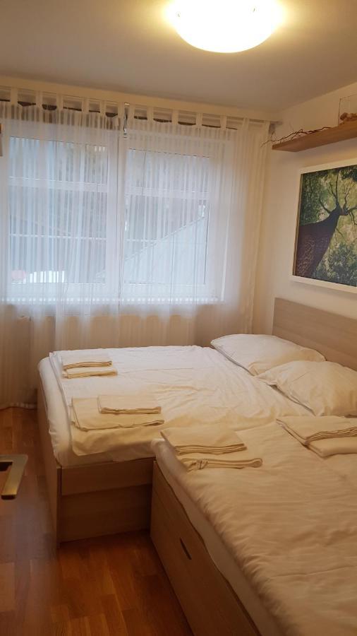 Rokytka Apartman 217 โรกีนีซ นัด ยีเซอโร ภายนอก รูปภาพ